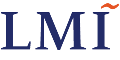 LMI Government Consulting Logo