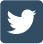 twitter icon